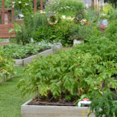 Gateway Greening Demonstration Garden